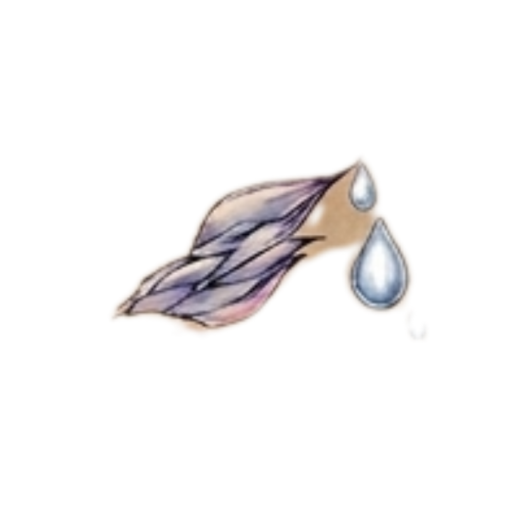 Lovella